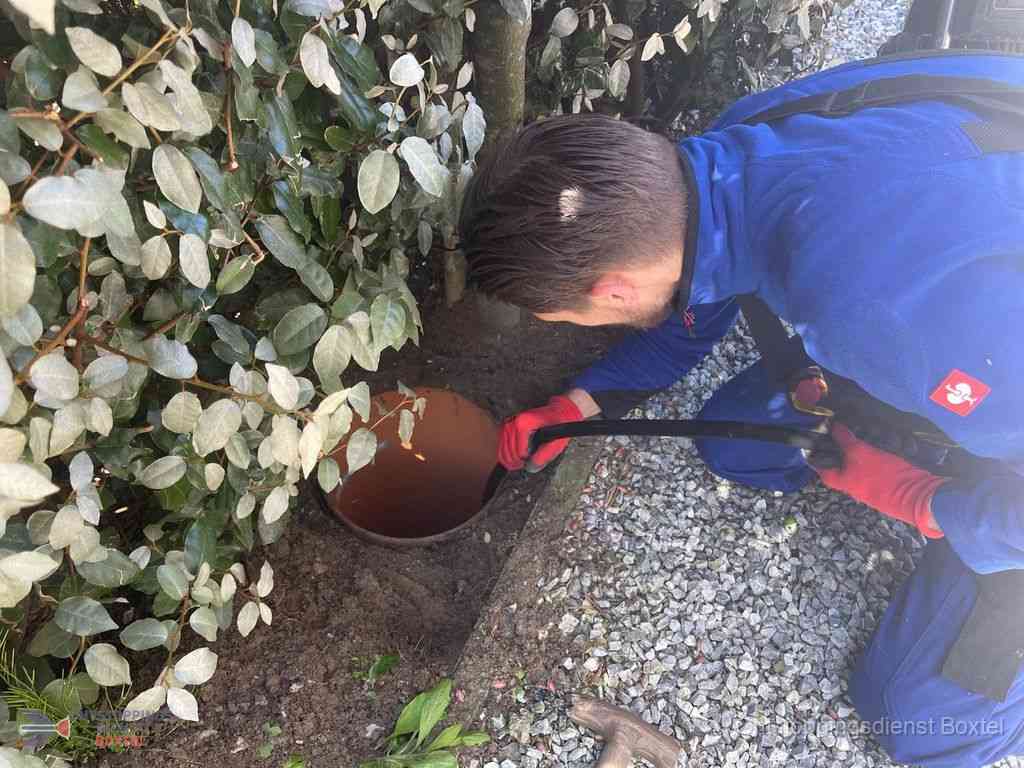 Rioolvliegjes Boxtel Rioolvliegjes Boxtel